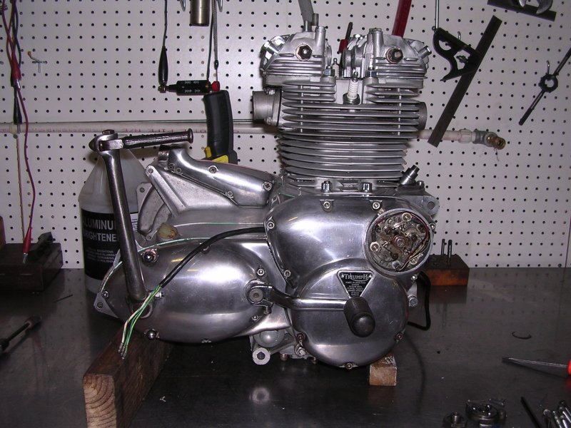 hog 013